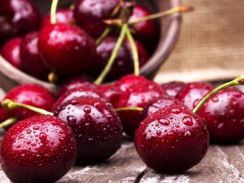 Вишня купить саженцы из питомника в Клинцах